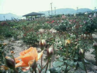 image00210001.jpg